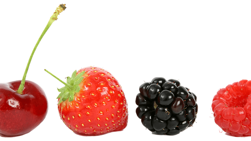 raspberry-2281799_960_720|Portada Cosemar Ozono